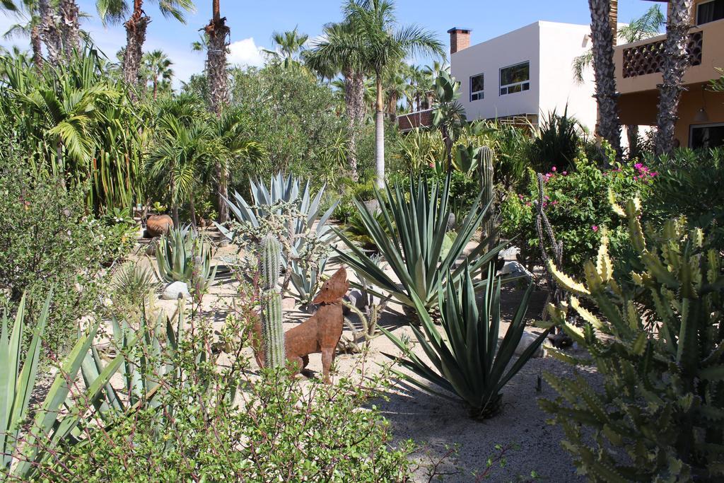 Hotel Posada La Poza Todos Santos Bagian luar foto