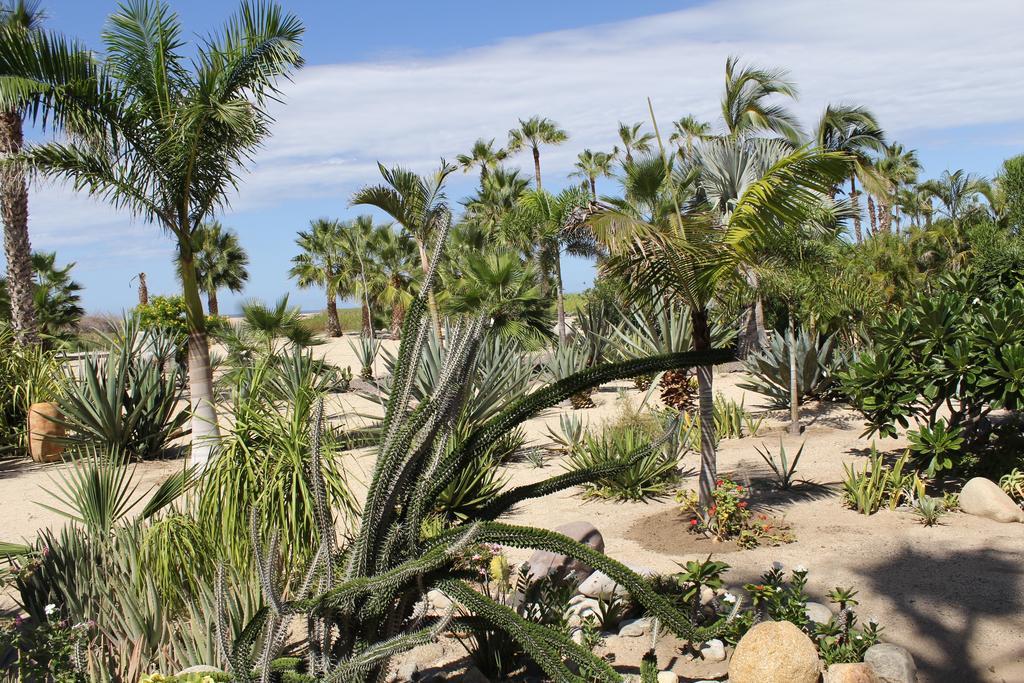 Hotel Posada La Poza Todos Santos Bagian luar foto