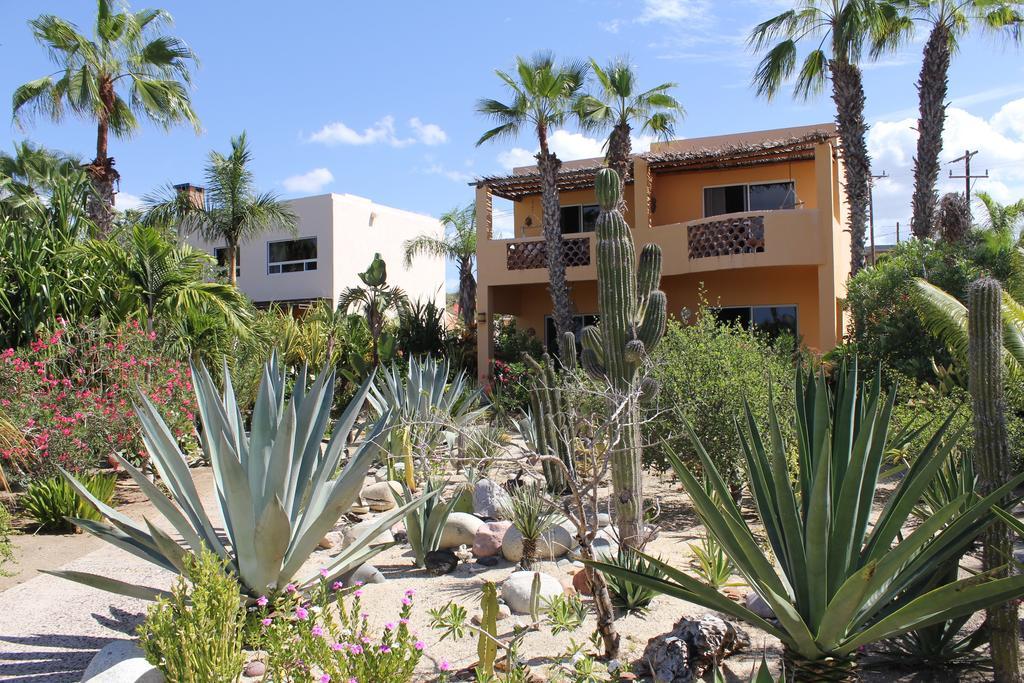 Hotel Posada La Poza Todos Santos Bagian luar foto