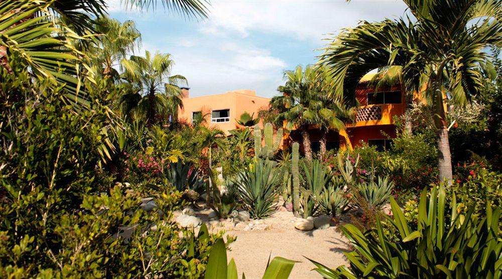 Hotel Posada La Poza Todos Santos Bagian luar foto