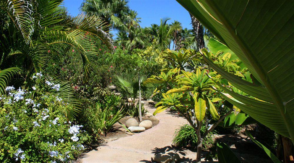 Hotel Posada La Poza Todos Santos Bagian luar foto